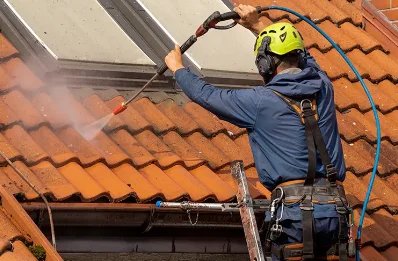 Démoussage et hydrofuge de toiture à Fortan